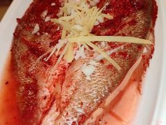 -福建美食城(老君堂店)