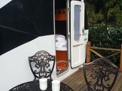 -崇明东平国家森林公园烧烤房车露营地