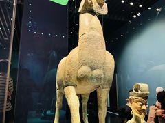 -广西壮族自治区博物馆