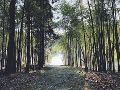 -重庆雨台山风景区