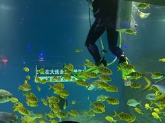 -大连圣亚海洋世界