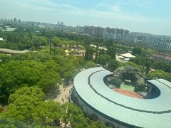 -上海野生动物园
