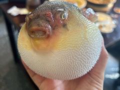 -永安鱼庄·镇江菜(东吴路店)