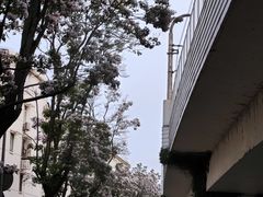 -漕溪路(地铁站)