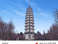 -开元寺塔