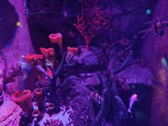 -沈阳海洋探索中心