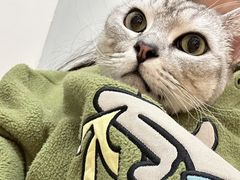 -宠颐生汉谟拉比宠物医院