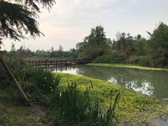 -桤木河湿地公园