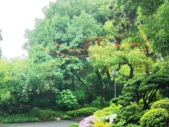 -浙江西子宾馆·瑶园咖啡厅