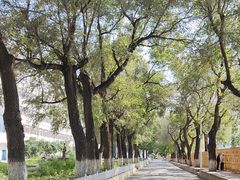 -哈尔滨商业大学(南校区)