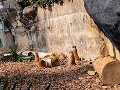 -红山森林动物园