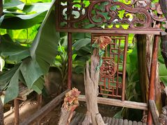 -呀路古热带植物园