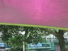 -卓锦曼购中心(国香街店)