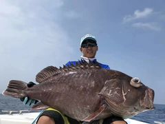 龙胆鱼-船梆煮•蒸汽海鲜·炉火烤肉(五四广场店)