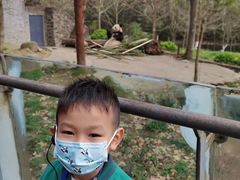 -都江堰中华大熊猫苑