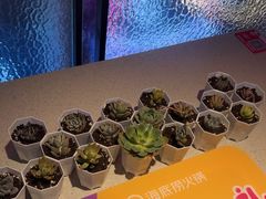 -海底捞大排档火锅(悦荟广场店)