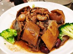 甲鱼-龙泉海鲜酒楼(龙昆南路店)