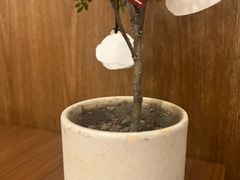 -CURRY YA 熟成咖哩專門店(深圳湾万象城店)