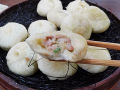 鲜肉包-舒小笼松针小笼包
