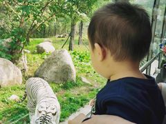 -西安秦岭野生动物园