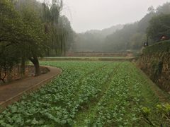 -韶山毛泽东同志故居