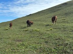 -灵山