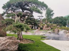 -罗红摄影艺术馆