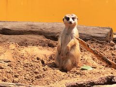 -北京野生动物园