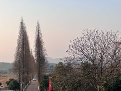 -江郎山风景名胜区