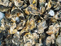 生蚝-芦潮港集贸市场
