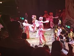 -广州长隆国际大马戏