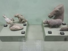 -古陶文明博物馆