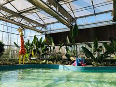 -南宫五洲植物乐园