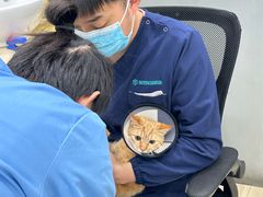 -瑞派天使宠物医院·神经外科·骨科·核磁CT(洛川中路店)