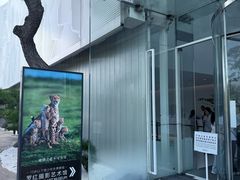 -罗红摄影艺术馆