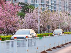 -文华公园(禅城区)