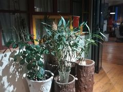-雕刻时光咖啡馆(南院门店)