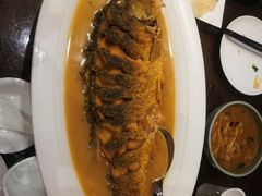 红烧黄河大鲤鱼-阿庄新豫菜(航海东路店)