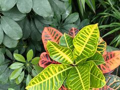 -北京植物园-展览温室