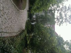 android_upload_pic-金牛山大酒店(南北湖风景区店)