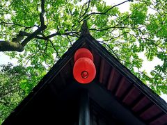 -杭州黄龙洞