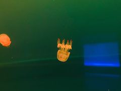 -多彩贵州城极地海洋世界