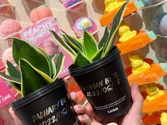 -LUSH(威尼斯人店)