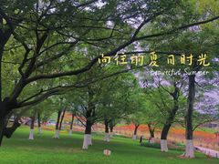 -秀丽东方