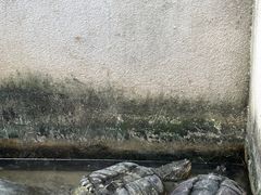 -安徽八里河旅游区