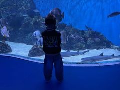 -海合安成都极地海洋公园