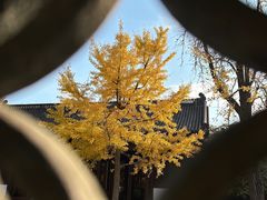 -钱王祠