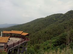 -铁山坪森林公园