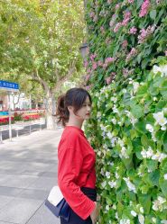 -蚂蚁造型俱乐部
