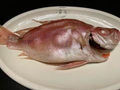 -吴记富苑(朝阳店)